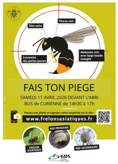 Animation création piège frelon asiatique